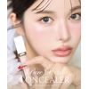SELVE Pure Polished Concealer (02 Ivory, 6.5 g)