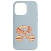 Rock climbing harness Sport climber Case for iPhone 14 Pro Max