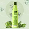 Tea Tree Conditioner 400ml