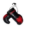 Illyrian Strength Hanging Car Mirror Mini Boxing Gloves (Albanian)