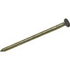 Do it 1 Lb. Vinyl-Coated Sinker Nail