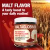 Maltaglobin Vitamin B12 Dietary Supplement, Hemoglobin Support, B12 Vitamins for Energy, 8 fl oz, 1-Pack