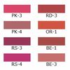 Kanebo Media Lip Liner AA RD3 with gift