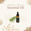 Aesthetic Naturals 30ml bottles (Tea Tree)