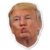 Donald Trump Face Vinyl Sticker - Select Size