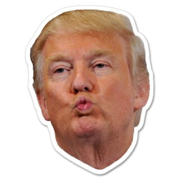 Donald Trump Face Vinyl Sticker - Select Size