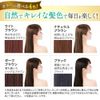 Rishiri color cream (light brown) 170g [Rishiri color care conditioner bonus 6 packages]