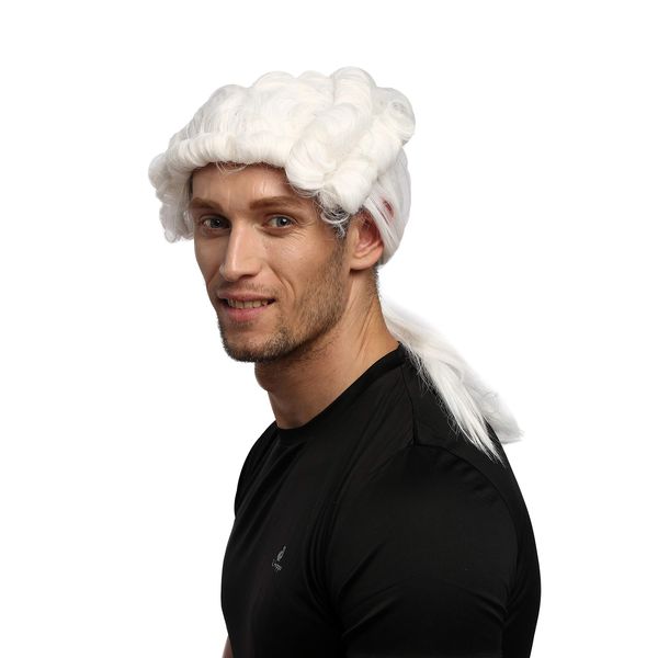 WIG ME UP - 0061-P60 Perücke Herren Karneval Halloween Barock Renaissance lockig weiß Zopf Lord Richter Edelmann