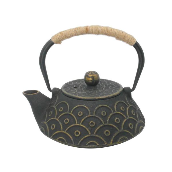 Cast Iron Teapot with Stainless Steel Infuser Japanese Tea Pot for Loose Leaf...