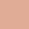 American Clay Plaster Color Pack - Socorro Clay