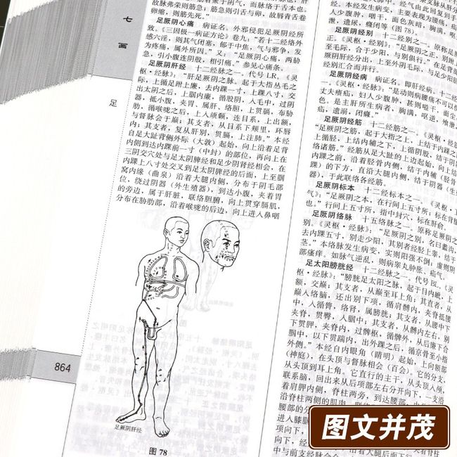 正版 中医大辞典 李经纬 第三3版 中医学中药学方剂词典医学工具书医药医学书籍大全大词典全集原版中医学字典 中国医药科技出版社任选备注