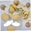 Nutcrackers, 5Pcs Nut Splitter Walnut Opener, Mini Nutcrackers, Stainless Steel Macadamia Walnut Opener Portable, Kitchen Tools