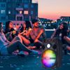 1100W Portable Wireless Bluetooth Speaker 8"Woofer W/Tripod Stand Mic Remote LED