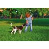 TROT Disk Frisbee for Dogs
