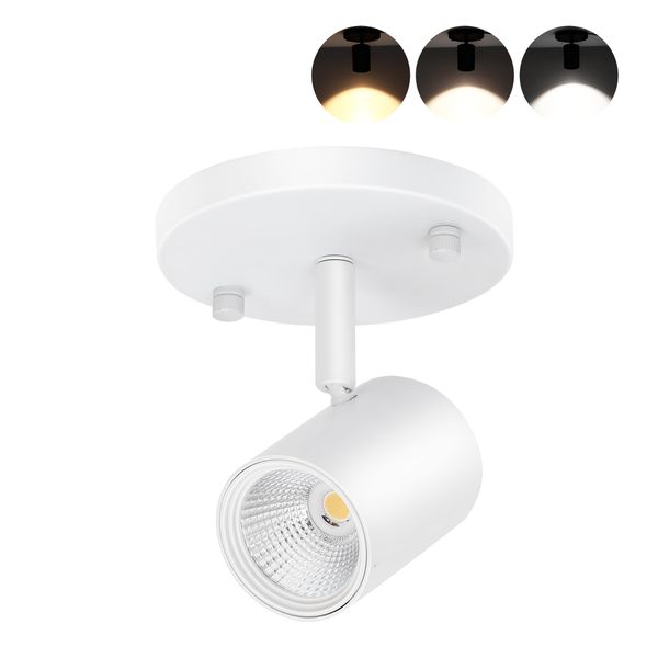 CLOUDY BAY LED Flush Mount Ceiling Spot Light,CRI90+ 9W 3000K 4000K 5000K Selectable Dimmable,Adjustable Tilt Angle Ceiling Track Light Head,White