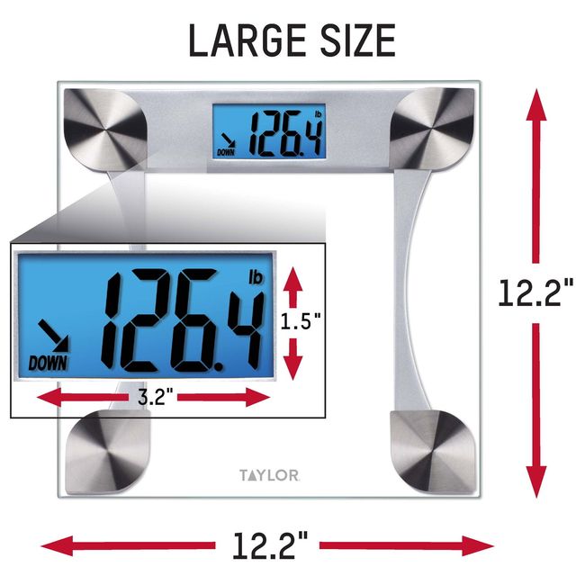 Taylor Digital Glass Scale