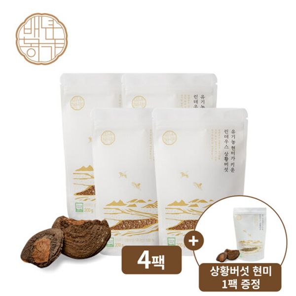 Baeknyeon Farmhouse Organic Linteus Phellinus Phellinus Brown Rice 300g 4 packs (1 pack of original product), single property