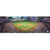 MasterPieces 91420: Houston Astros 1000pc Panoramic Puzzle