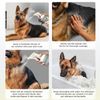 Skunk Odor Eliminator Pet Odor Control [Unscented Advance Formula]