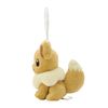 Pokemon Center Original Eevee Mascot with Carabiner