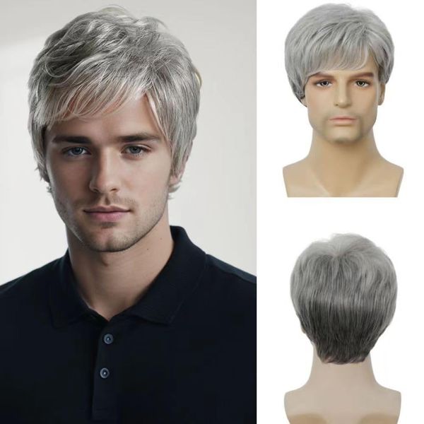 Salaibs Grey Short Wigs for Men Synthetic Layered Natural realistic Male Hair wig for Daily Party