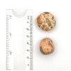 Rhyolite Medium Crystal Tumbled Stone - 1 Pc