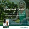 Host Defense Chaga Extract - Immune System Support Supplement - Chaga Mushroom f