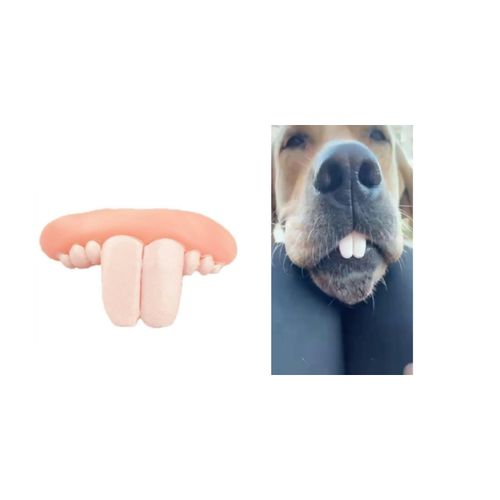 White Fake Teeth Fake Teeth for Dogs,Dog Toys,Funny Dog Teeth Braces, Dog Christmas Costume Suitable Dog Chew Toys Pet Supplies
