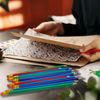 LCPQMZGH 48 Pcs Erasable Checking Pencils, Pre-Sharpened, for Marking, Coloring, Tests, Grading, Office, School (Multicolor)