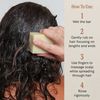 J.R. Liggett Bar Shampoo Moisturizing Hair Formula