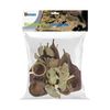 Superfish Biotope Set Asia