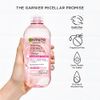 Garnier SkinActive Micellar Water with Rose Water and Glycerin, Facial Cleanser & Makeup Remover, All-in-1 Hydrating, 13.5 Fl Oz (400mL), 1 Count (Packaging May Vary)