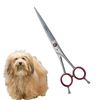 8" Professional Pet Dog Grooming Scissors Shears Straight Silver Polished