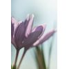 THREE Balancing Point Makeup Remover N