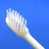 toysfan Disposable Toothbrushes for Commercial Use, Toothbrush, Toothpaste, 100 Pieces, Oral Hygiene Cleaning, Industrial Toothbrush, Toothbrush, Brush