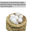 JVHLOV 20x Solid Plastic Dummy Fake Eggs, Dummy Eggs Dove, Simulation Bird Egg Bird Breeding Tool