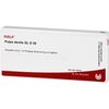 Pulpa Dentis Gl D30 Wala Ampullen, 10 St. Ampullen