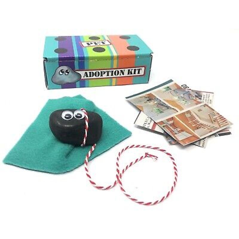Rock Pet Deluxe Adoption Kit With Adoption Certificate Funny Gag Gift ...