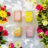 Tropical Wax Melts Set Of 4