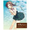 恋と選挙とチョコレート 3(完全生産限定版) [DVD]