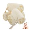 VinBee 4 PCS Natural Shower Loofah Sponge Skin Cleansing Skin Exfoliation Body Back Scrubber for Bathing and Back Caring Spa 4 inch