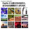 Pentax PAPILIO II 6.5x21