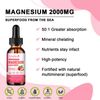 3 pack Magnesium Liquid Drops ,Improve Bone, Teeth,Immune, Nerve,Sleep 2000MG