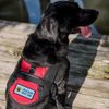 WORKINGSERVICEDOG.COM Please Pet Me - Sew On Patch for Service Dog Vest or Harness