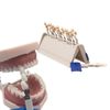 Teeth Whitening Shade Guide Porcelain 29 Colors Set Tooth Bleaching Shade Chart Mold Dental Material Equipment Oral Care