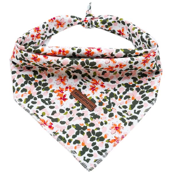 Elegant Littel Tail Hund Bandana, Frühling Haustier Bandanas 1PC Baumwolle waschbar Jungen Mädchen Quadrat Hund Lätzchen Halstuch Hund Halstücher für kleine mittlere große Hunde