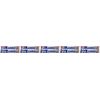 Ready Brush Prepasted Disposable Toothbrush 10 count