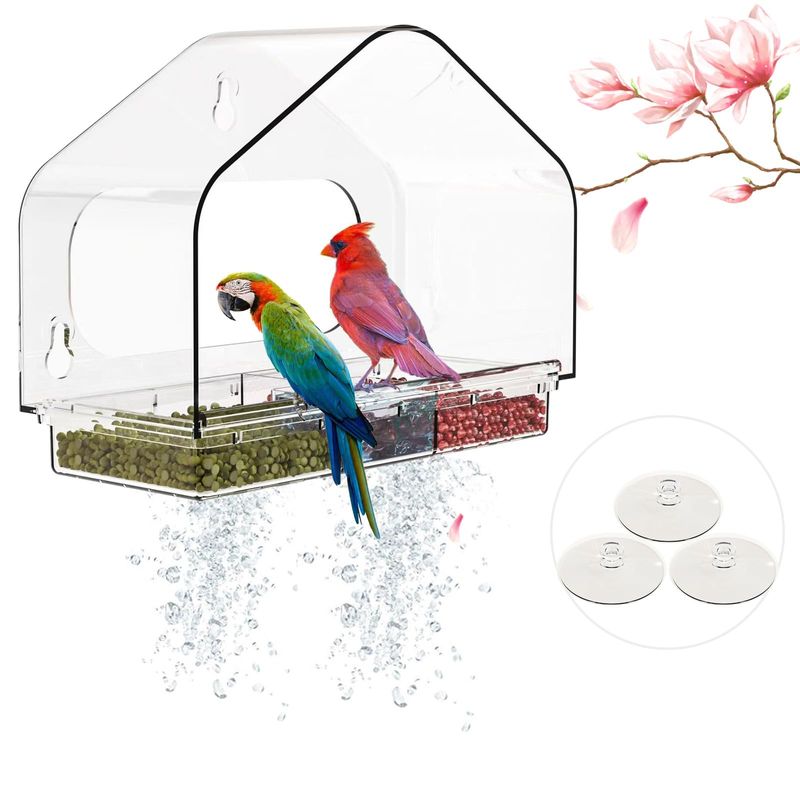 Window Bird Feeder Viewing Box - 10x7 Inches Acrylic Window Bird Feeder ...