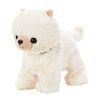 Sega Toys Premium Pomeranian