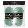Scheepjes Colour Crafter Solid Pack 2 x 150g - Ameland Green Yarn